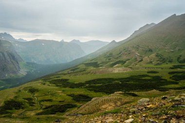 Open Meadow Just Below Piegan Pass in Glacier National Park