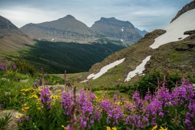 Piegan Glacier Sits High Above Siyeh Bend in Glacier National Park