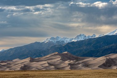 Wind Swept Dunes Below Snow capped Mountains in Colorado park