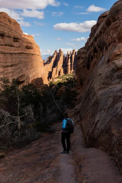 Caminante Que Dirige Por Sendero Slick Rock Hacia Cañón Parque — Foto de Stock