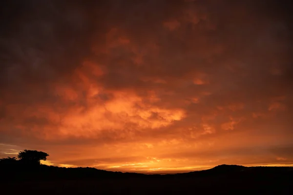 Orange Clouds Highlighted Sunset Light Molera Point California Big Sur — Stockfoto