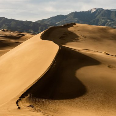 Ridge of Dune Climbs up toward sandy peak in Great Sand Dunes National Park