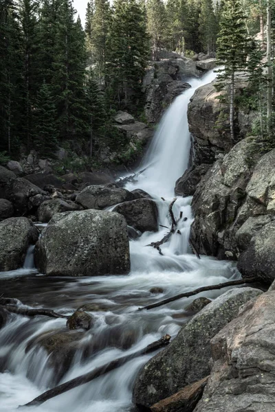 Smooth Water Tumbles Alberta Falls Rocky Mountain National Park — Zdjęcie stockowe