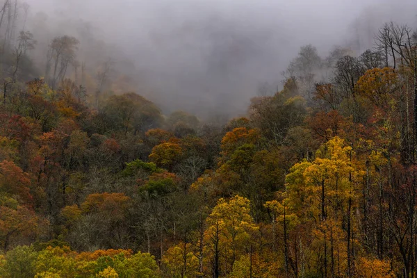 Thick Fog Rolls Valley North Carolina Mountains Smokies — Stock fotografie