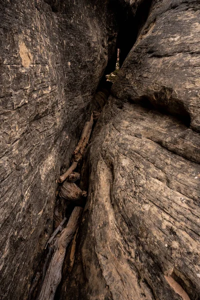 Les Vieilles Bûches Remplissent Fente Profonde Sur Sentier Travers Passage — Photo