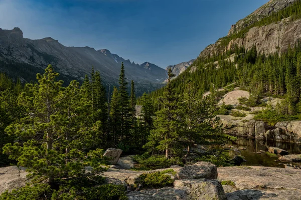 Mills Lake Peeks Mögött Rocky Shore Fenyőfák Rocky Mountain Nemzeti — Stock Fotó