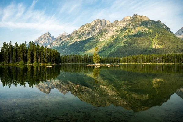 Single Tree Small Island Reflect Leigh Lake Tetons Background Ένα — Φωτογραφία Αρχείου