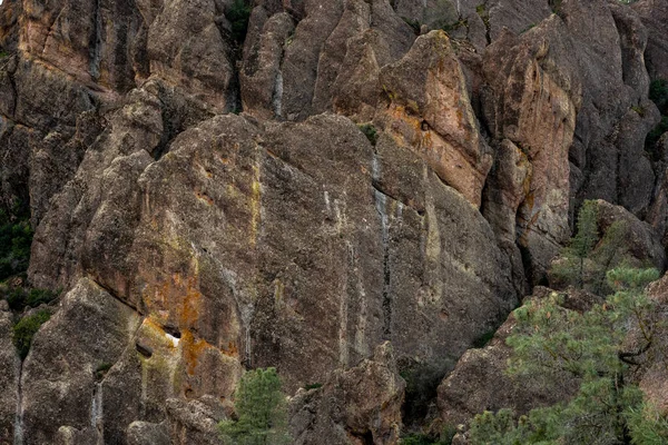Texture Rock Wall Trees Pinnacles National Park — Stock Photo, Image