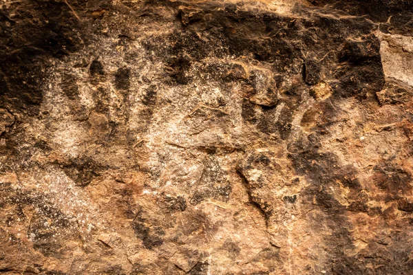 Canyonlands Ulusal Parkı Ndaki Mağara Baharı Duvarında Eski Zleri — Stok fotoğraf