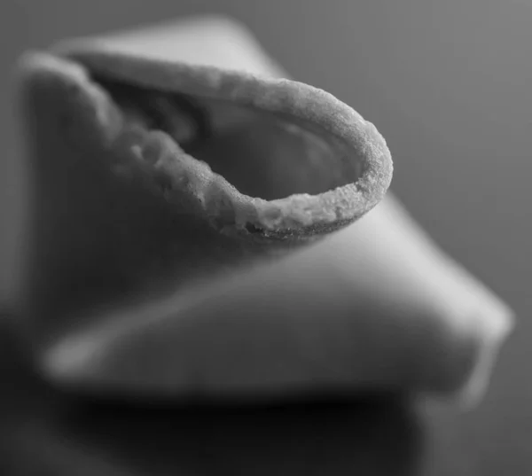 Black White Shallow Depth Field Fotune Cookie Edge Reflection — Stock Photo, Image