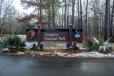 Congaree Ulusal Parkı, ABD: 29 Ocak 2022: Kar Altında Ulusal Park Tabelası