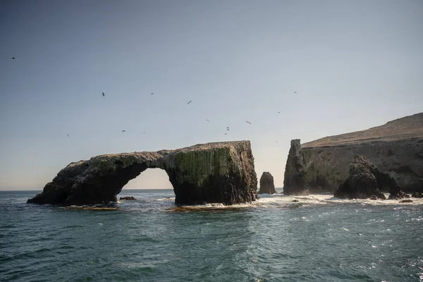 Pelicans Fly Over Sea Stacks On Anacapa Island in Channel Islands National Park