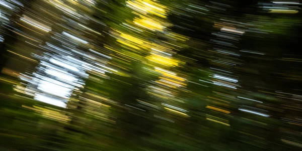 Swirling Blur Forest Canopy Great Smoky Mountains National Park — стокове фото