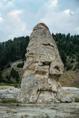 Yellowstone Ulusal Parkı 'nın Mamut Kaplıca Gayzerinde Kuru Özgürlük Geyiği