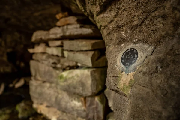 Toegang Tot Grot C205 Afgelegen Deel Van Mammoet Cave National — Stockfoto