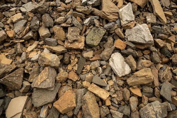 Stor Skärm Längs Kanten Leden Närbild Glacier National Park — Stockfoto