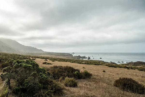 加州南部沿海低洼地草原 — 图库照片