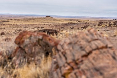 Akik Evi Taşlaşmış Orman Ulusal Parkı 'ndaki bir tepede oturuyor.