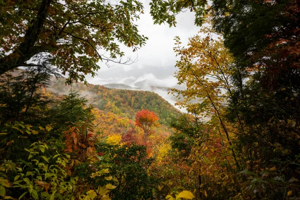 Raam Door Herfstkleuren Naar Beneden Kolkende Wolken Blue Ridge Mountains — Stockfoto