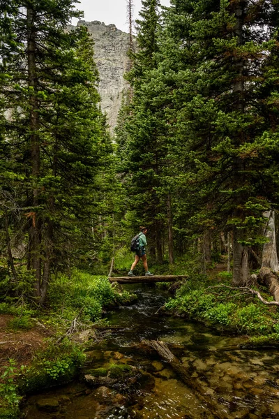 Kvinnliga Vandringar Över Små Stockbron Rocky Mountain National Park — Stockfoto