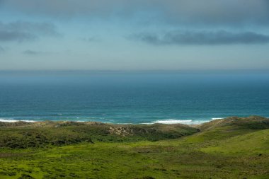Point Reyes Ulusal Deniz Kıyısındaki Yeşil Alanlar Pasifik Okyanusuna dökülüyor.