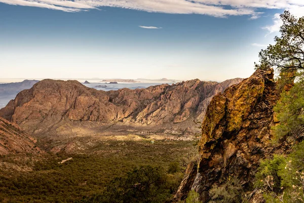 Moss Crece Acantilado Con Vistas Cuenca Chisos Parque Nacional Big — Foto de Stock