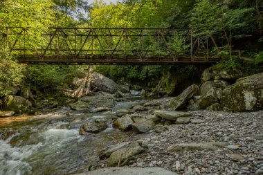 Büyük Dumanlı Dağlar Ulusal Parkı 'ndaki Enloe Creek Köprüsü' nde Küçük Ağaçlar Büyüyor