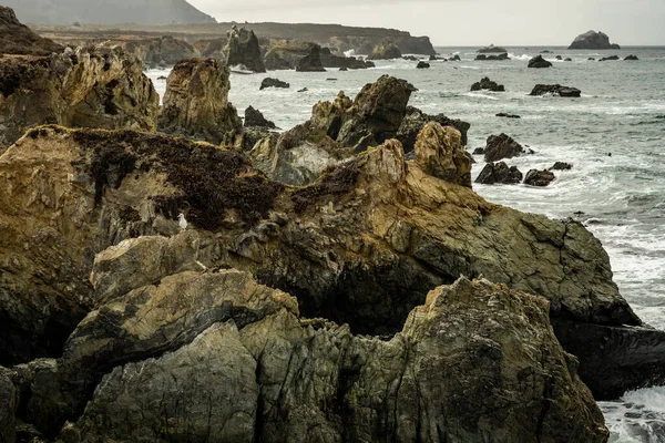 Mewa Morska Siedzi Wzdłuż Twardych Skał Wybrzeżu Big Sur — Zdjęcie stockowe