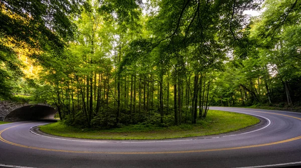 Pętla Chwilę Spokoju Parku Narodowym Great Smoky Mountains — Zdjęcie stockowe