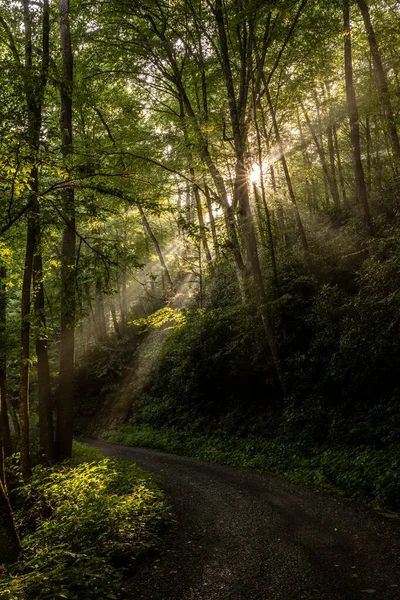 Balzám Mountain Road Šachtami Ranního Světla Výbuchem Slunce Smokies — Stock fotografie