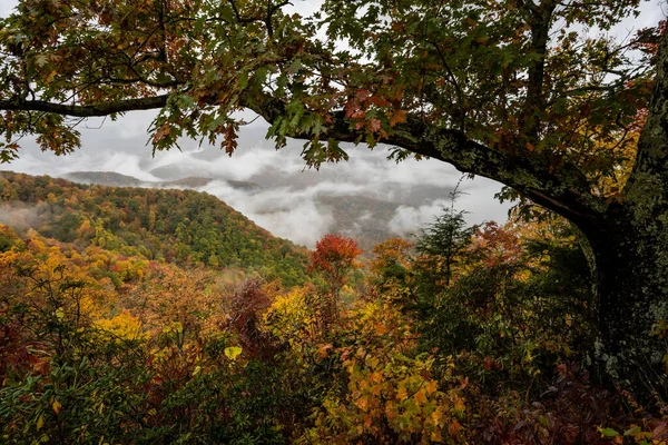 Pohled Dolů Mraky Inverze Přes Podzimní Barvy Podél Blue Ridge — Stock fotografie