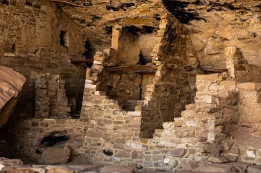 Eski ahşap kirişler Mesa Verde Ulusal Parkı 'ndaki Mug House' daki Gap Tutucu Taş Duvarları geriyor