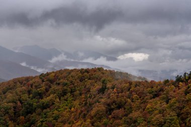 Sessiz Sonbahar Renkleri 'nin Rolling Hill' i Bulutlu Dağlarla Mavi Tepe Bulutlu Parkway boyunca