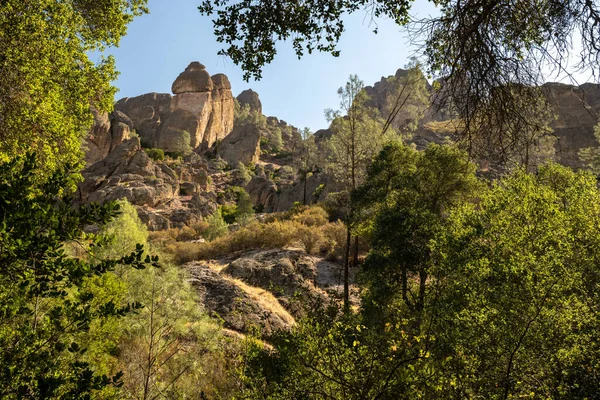 Скелясті Скелі Через Дерева Центральній Каліфорнії — стокове фото
