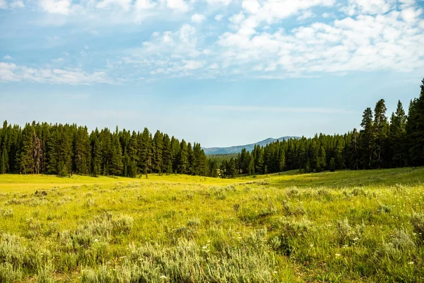 Rolling Hills Yellowstone Auf Dem Weg Zum Wrangler Lake Hayen — Stockfoto