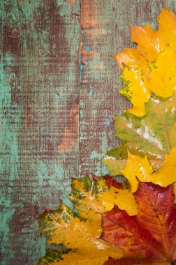 Ahşap arka planda sonbahar yaprakları