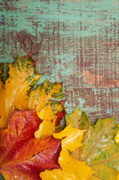 Herbstblätter Über Hölzernem Hintergrund — Stockfoto