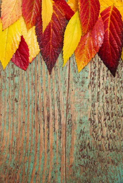 Autumn Leaves Wooden Background Copy Space — Stock Photo, Image