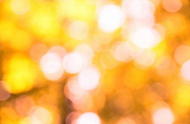 Sonbahar arkaplanı güneşli ışınlarla