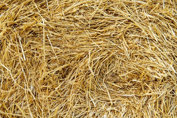 Saman dokusu. Saman balyaları büyük yığın halinde istiflenir. Tarımda hasat..