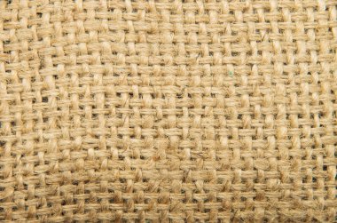 Çuval bezinin görüntü dokusu.