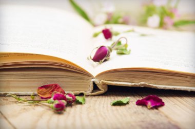 Kuru güller ve eski kitaplar. Tonu ayarlanmış resim