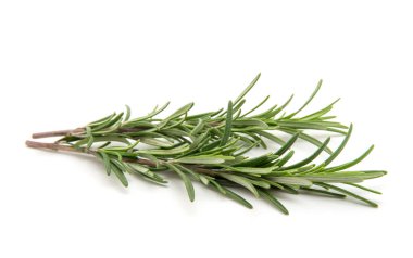 Beyaz arka planda bir dal biberiye