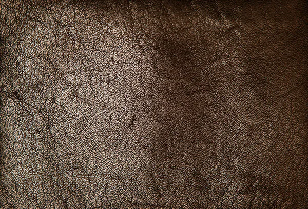 Brown Leather Bckground Texture — Stock Photo, Image