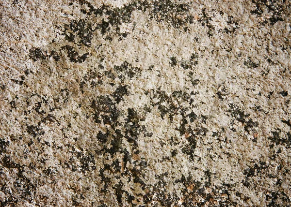 Текстура Старого Камня — стоковое фото