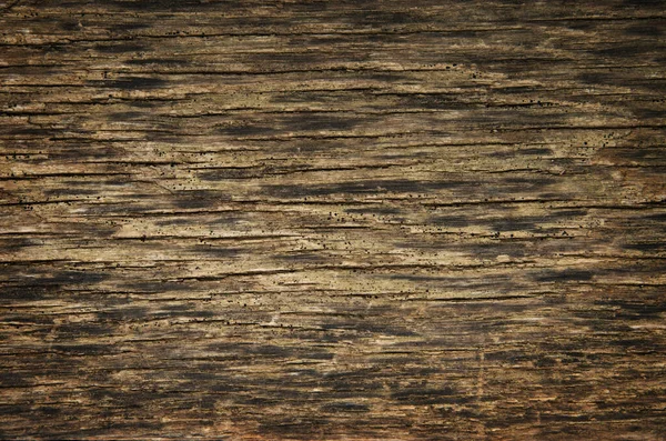 Brown Grunge Wood Texture — Stock Photo, Image