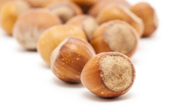 Hazelnuts White Background — Stock Photo, Image