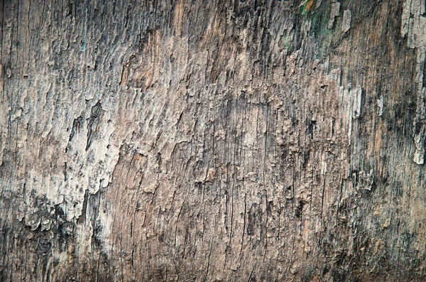 Staré Dřevěné Prkno Pozadí — Stock fotografie