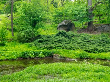 Göl ve parktaki güzel manzara.