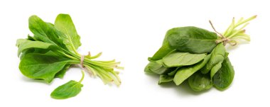 Beyaz arkaplanda ıspanak